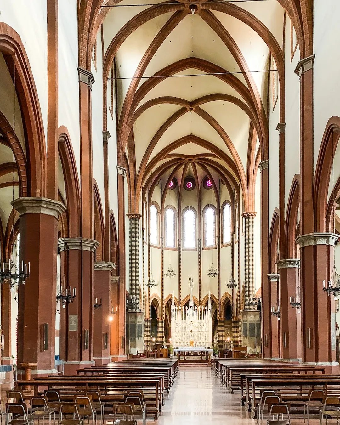 🏛️ 바실리카 디 산 프란체스코 (Basilica di San Francesco)